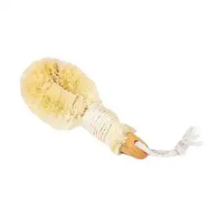 Baudelaire Sisal Nail Brush 6″