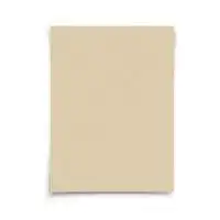 Beyond Gourmet Unbleached Pre-Cut Parchment Paper 24 count Beyond Gourmet Unbleached Pre-Cut Parchment Paper 24 count