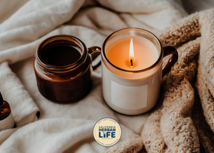 aromatherapy christmas