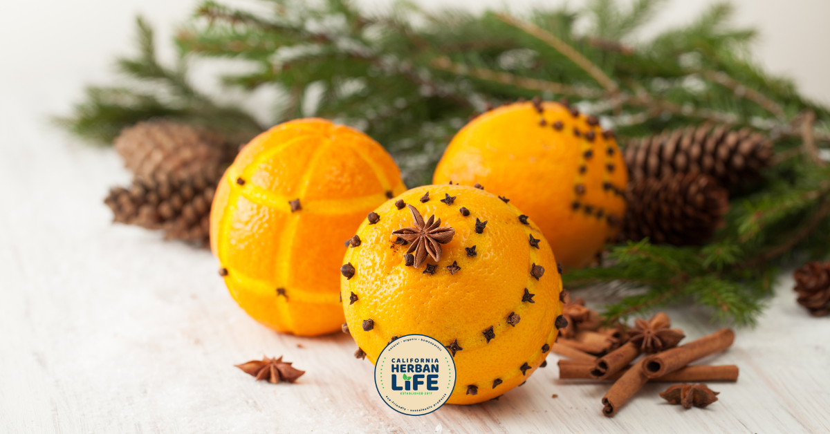clove studded oranges