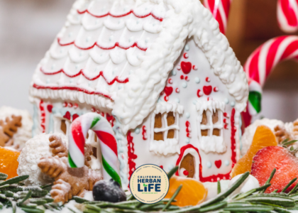 gingerbread diffusion