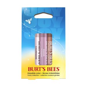 Burt’s Bees Holiday Kissable Color Frosty Lip Gift Set