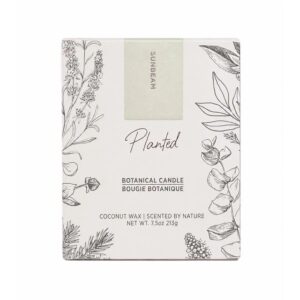 Planted Candles Sunbeam Garden Soy & Coconut Wax Candle 7.5 oz.