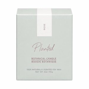 Planted Candles Rose Classic Soy Candle 6 oz.