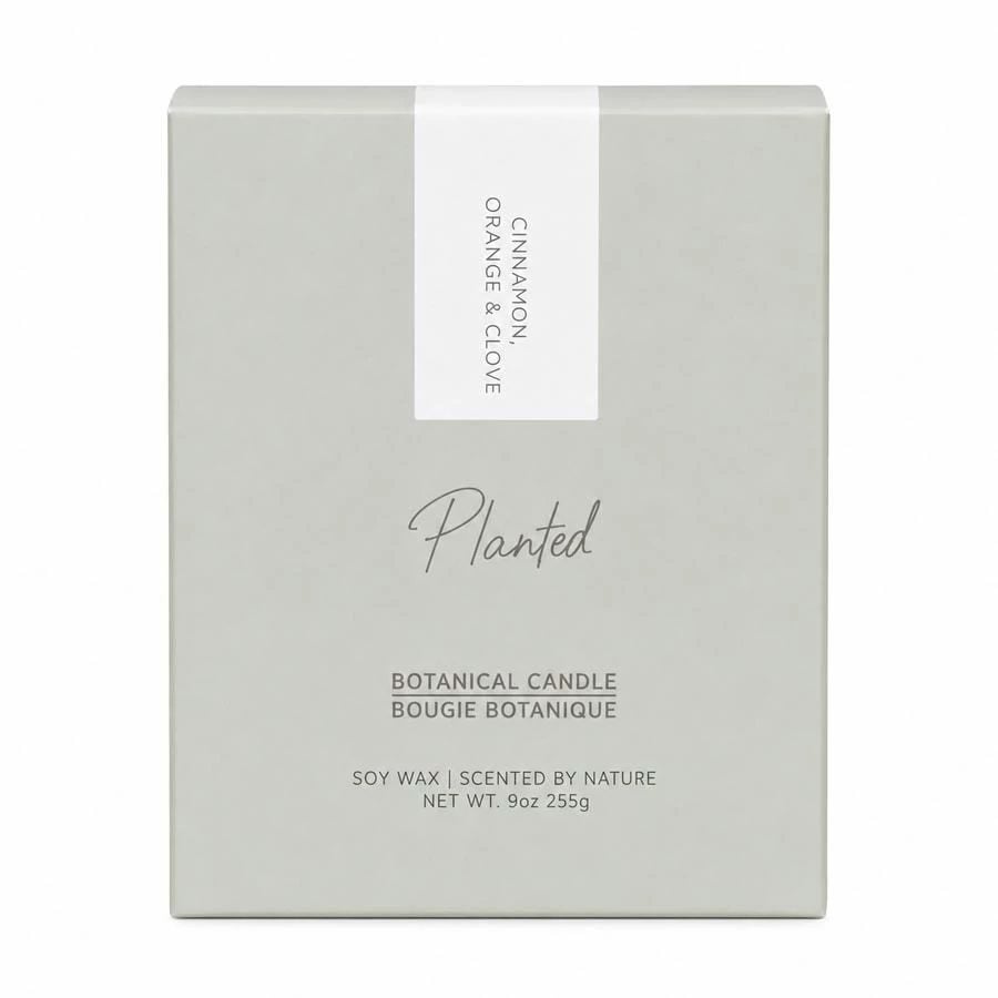 Planted Candles Orange & Clove Seasonal Fall Candle 9 oz.
