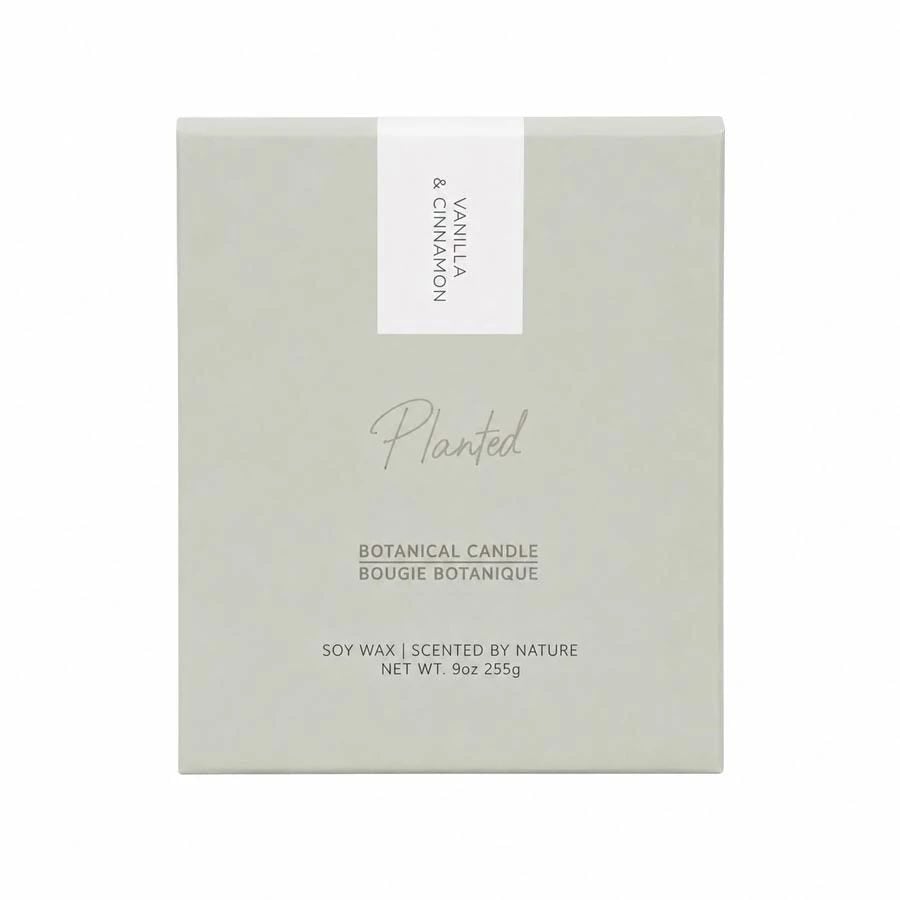 Planted Candles Vanilla & Cinnamon Seasonal Fall Candle 9 oz.