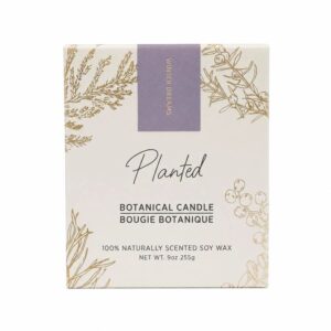 Planted Candles Winter Dreams Seasonal Holiday Candle 9 oz.