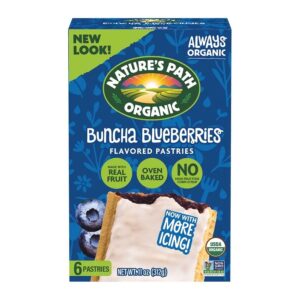 Nature’s Path Blueberry Organic Frosted Toasted Pastries 11 oz.