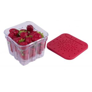 Harold Import Co. Kitchen BerryFresh Produce Box 4″ x 4″