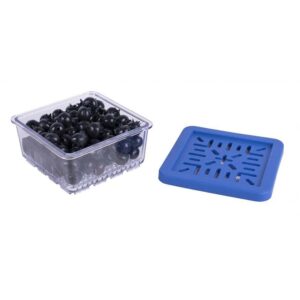 Harold Import Co. Kitchen BerryFresh Produce Box Half Pint 1.875″x 3.5”