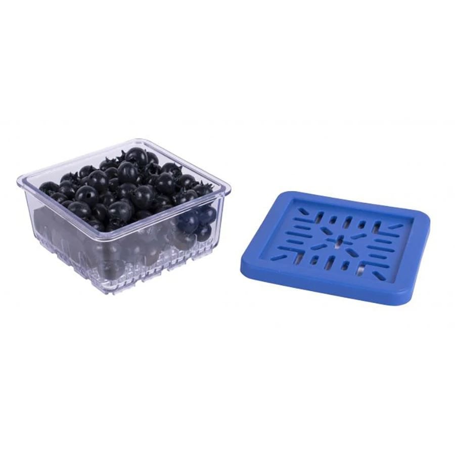 Harold Import Co. Kitchen BerryFresh Produce Box Half Pint 1.875″x 3.5” Harold Import Co. Kitchen BerryFresh Produce Box Half Pint 1.875″x 3.5”